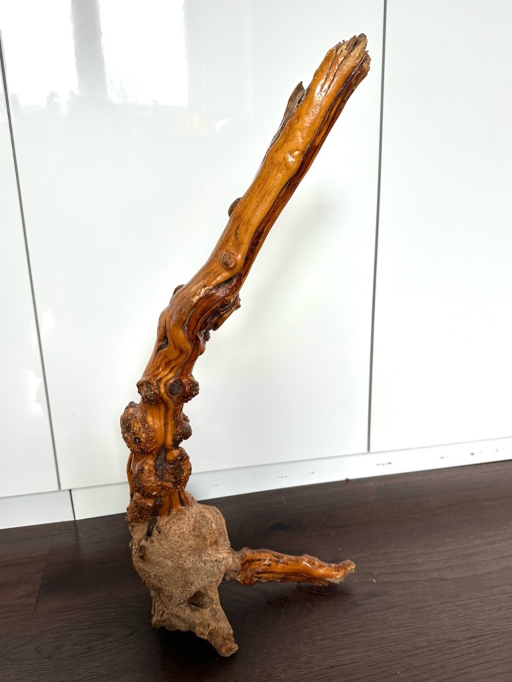 Natural Burl Wood Driftwood Sculpture Rustic Organic Live Edge Root Decor